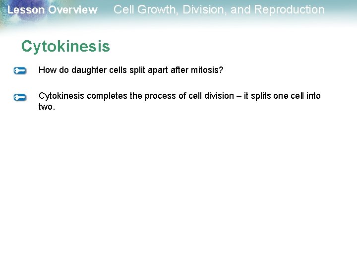 Lesson Overview Cell Growth, Division, and Reproduction Cytokinesis How do daughter cells split apart