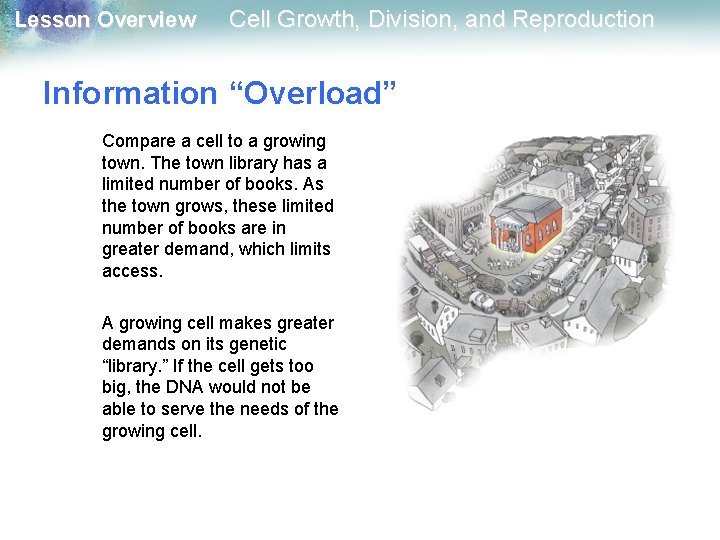 Lesson Overview Cell Growth, Division, and Reproduction Information “Overload” Compare a cell to a