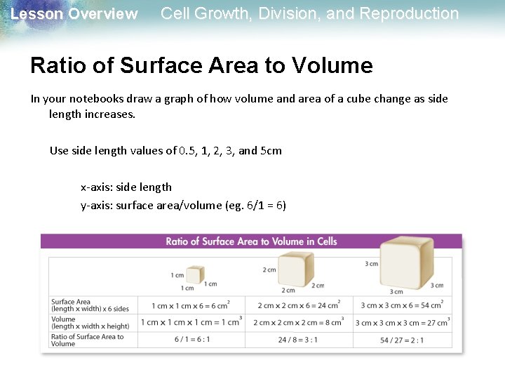 Lesson Overview Cell Growth, Division, and Reproduction Ratio of Surface Area to Volume In