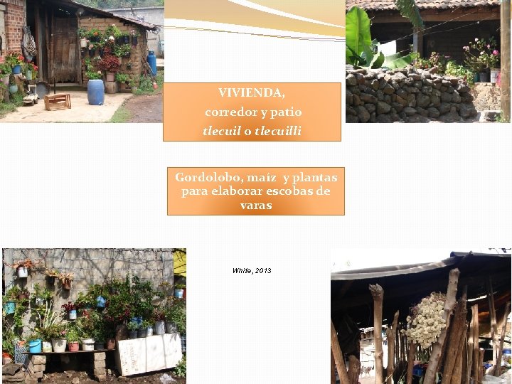 VIVIENDA, corredor y patio tlecuilli Gordolobo, maíz y plantas para elaborar escobas de varas