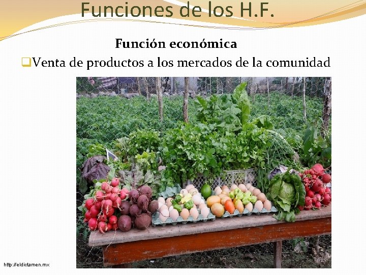 Funciones de los H. F. Función económica q. Venta de productos a los mercados