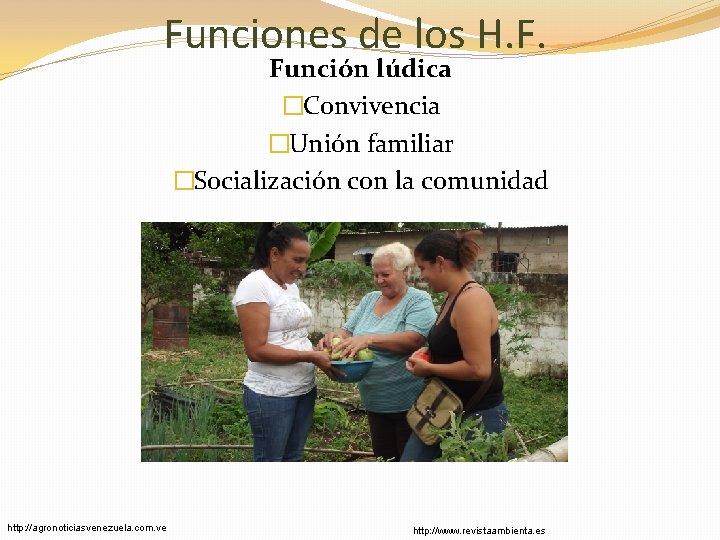 Funciones de los H. F. Función lúdica �Convivencia �Unión familiar �Socialización con la comunidad