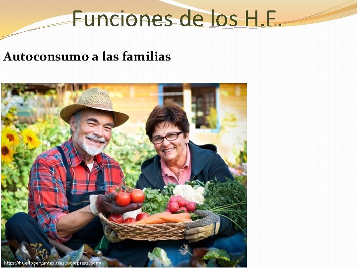 Funciones de los H. F. Autoconsumo a las familias https: //huertocervantes. files. wordpress. com/