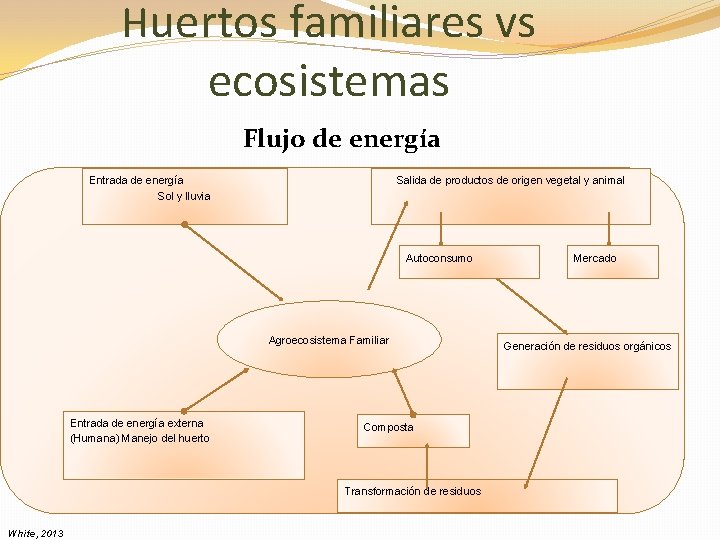 Huertos familiares vs ecosistemas Flujo de energía Entrada de energía Sol y lluvia Salida