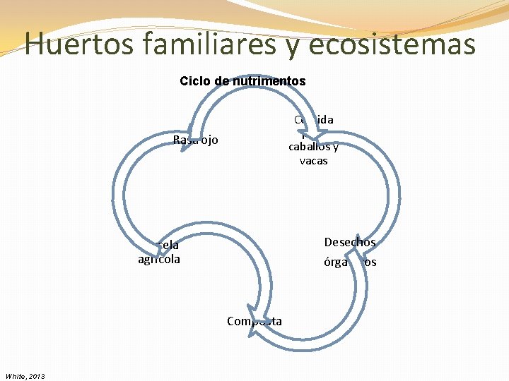 Huertos familiares y ecosistemas Ciclo de nutrimentos Comida para caballos y vacas Rastrojo Desechos