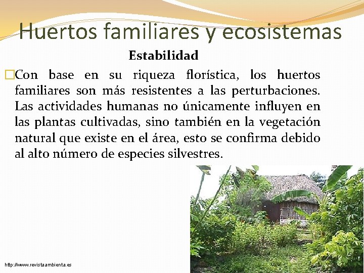 Huertos familiares y ecosistemas Estabilidad �Con base en su riqueza florística, los huertos familiares