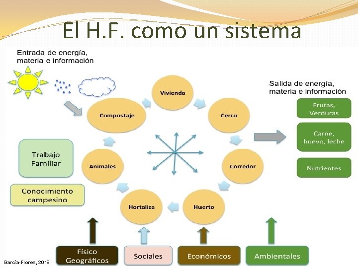 El H. F. como un sistema García-Flores, 2016 