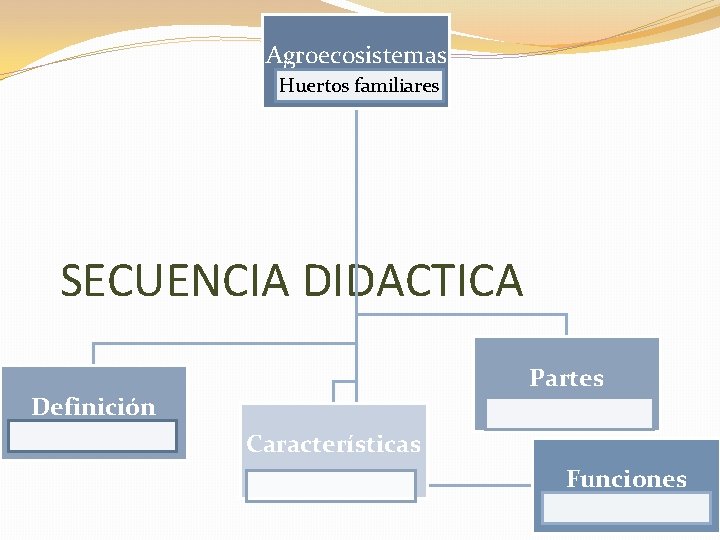 Agroecosistemas Huertos familiares SECUENCIA DIDACTICA Partes Definición Características Funciones 