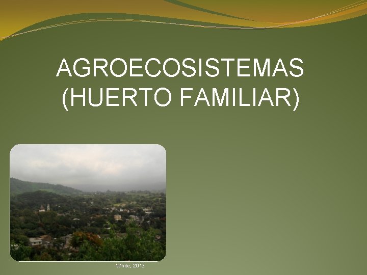 AGROECOSISTEMAS (HUERTO FAMILIAR) White, 2013 