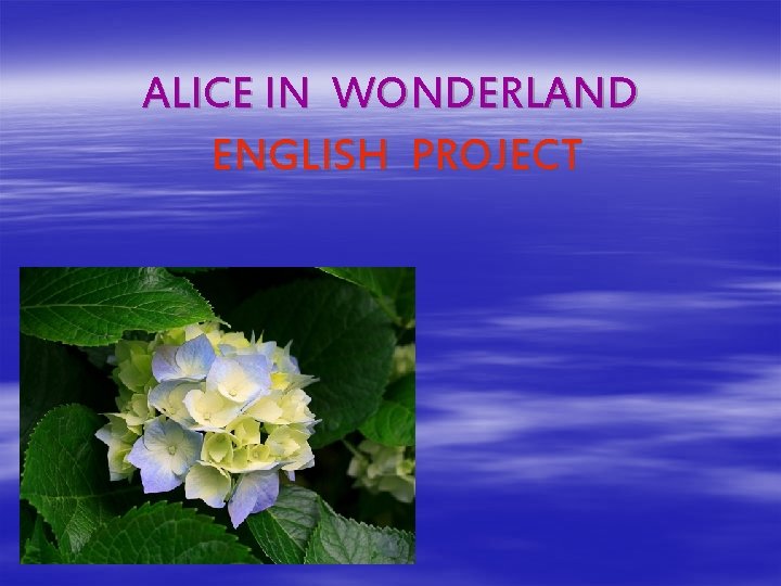 ALICE IN WONDERLAND ENGLISH PROJECT 