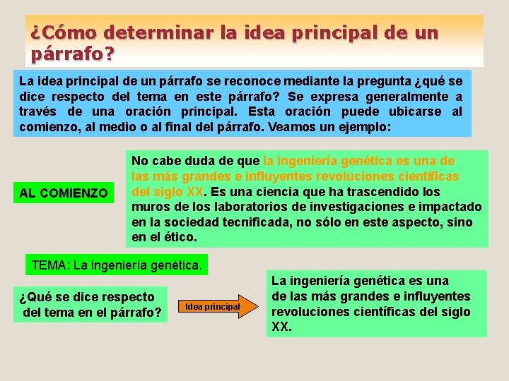 ¿Cómo determinar la idea principal de un párrafo? La idea principal de un párrafo