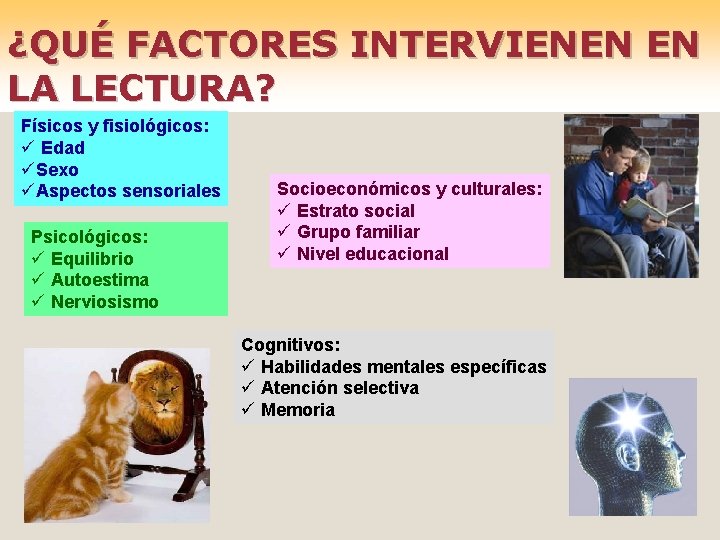 ¿QUÉ FACTORES INTERVIENEN EN LA LECTURA? Físicos y fisiológicos: ü Edad üSexo üAspectos sensoriales