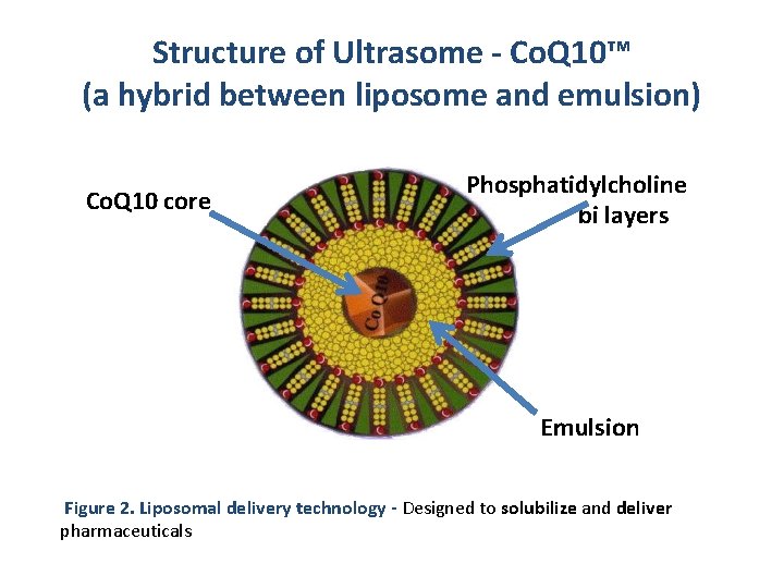 Structure of Ultrasome - Co. Q 10™ (a hybrid between liposome and emulsion) Co.