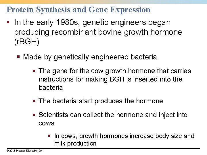 Protein Synthesis and Gene Expression § In the early 1980 s, genetic engineers began