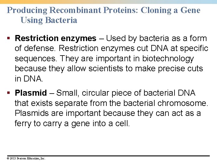 Producing Recombinant Proteins: Cloning a Gene Using Bacteria § Restriction enzymes – Used by