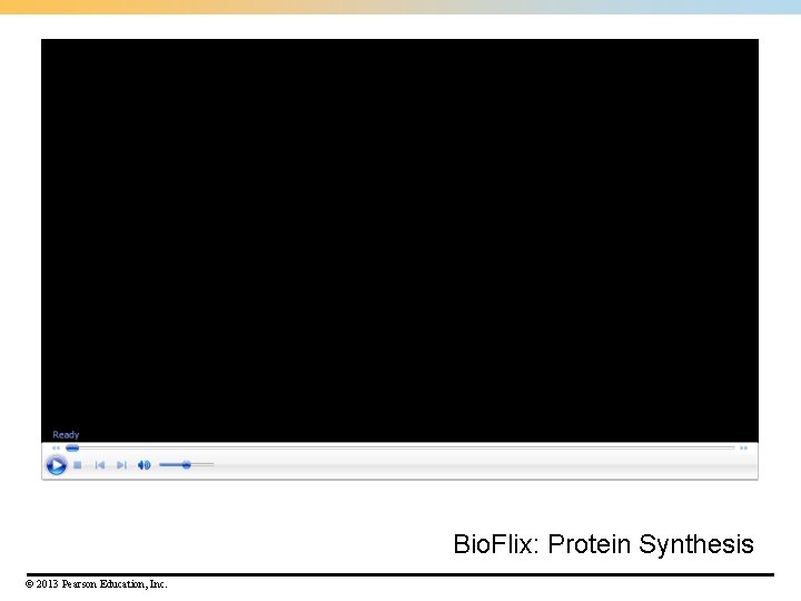 Bio. Flix: Protein Synthesis © 2013 Pearson Education, Inc. 