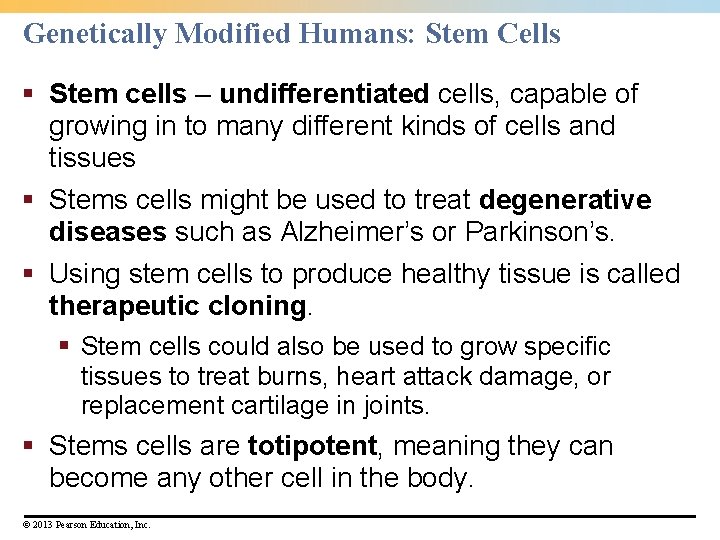 Genetically Modified Humans: Stem Cells § Stem cells – undifferentiated cells, capable of growing