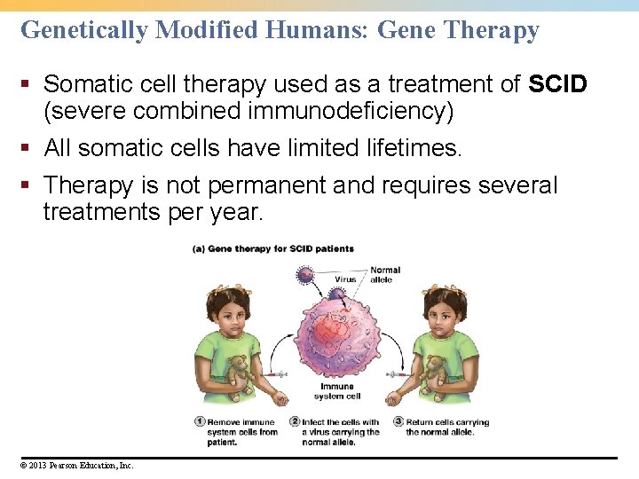 Genetically Modified Humans: Gene Therapy § Somatic cell therapy used as a treatment of