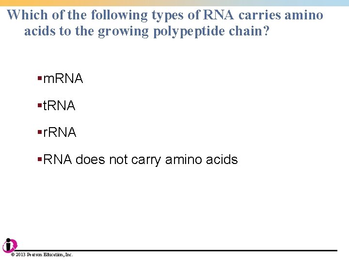 Which of the following types of RNA carries amino acids to the growing polypeptide