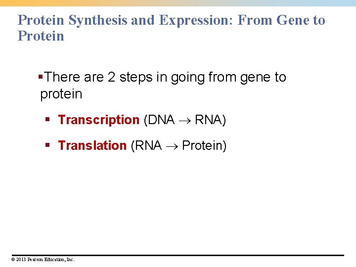 Protein Synthesis and Expression: From Gene to Protein §There are 2 steps in going