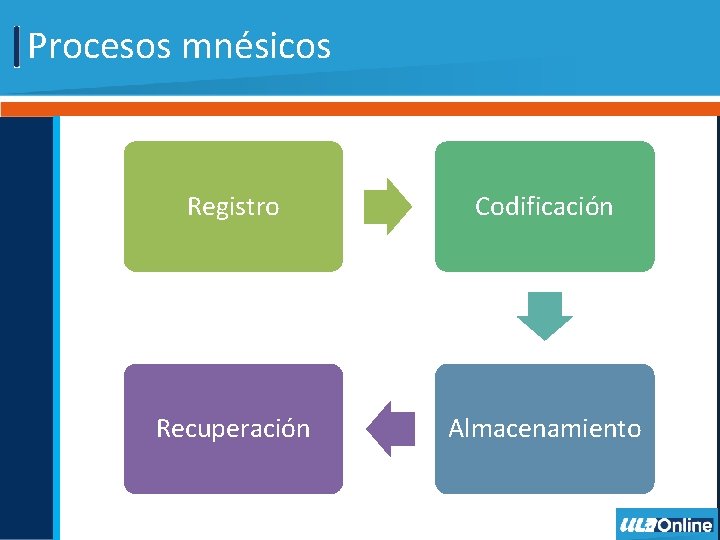 Procesos mnésicos Registro Codificación Recuperación Almacenamiento 