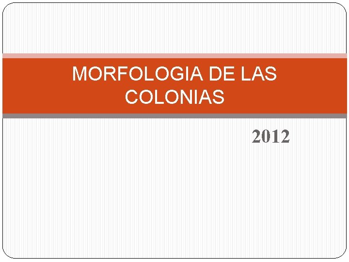 MORFOLOGIA DE LAS COLONIAS 2012 