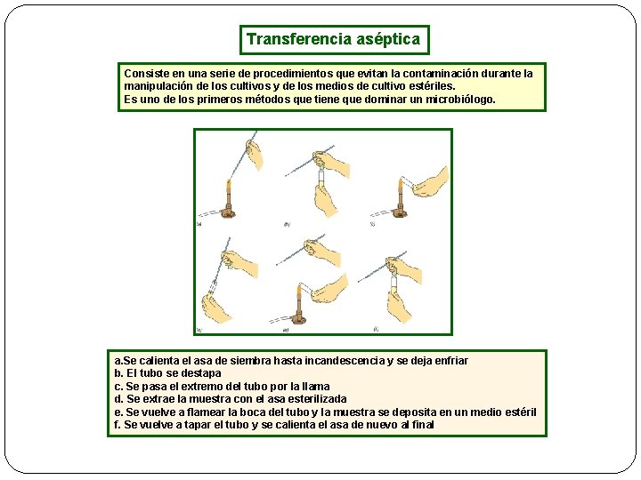 Transferencia aséptica Consiste en una serie de procedimientos que evitan la contaminación durante la