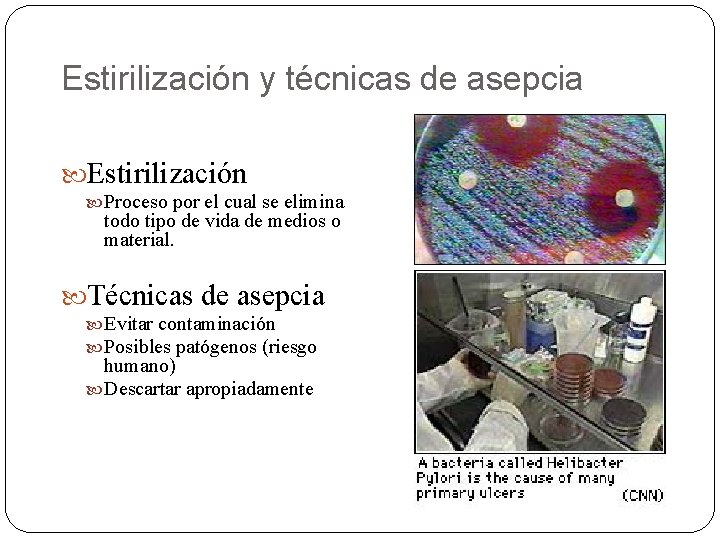 Estirilización y técnicas de asepcia Estirilización Proceso por el cual se elimina todo tipo