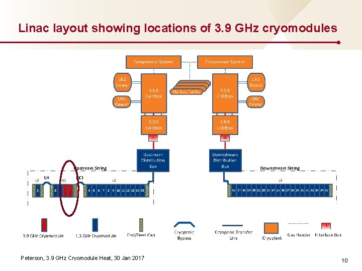 Linac layout showing locations of 3. 9 GHz cryomodules Peterson, 3. 9 GHz Cryomodule