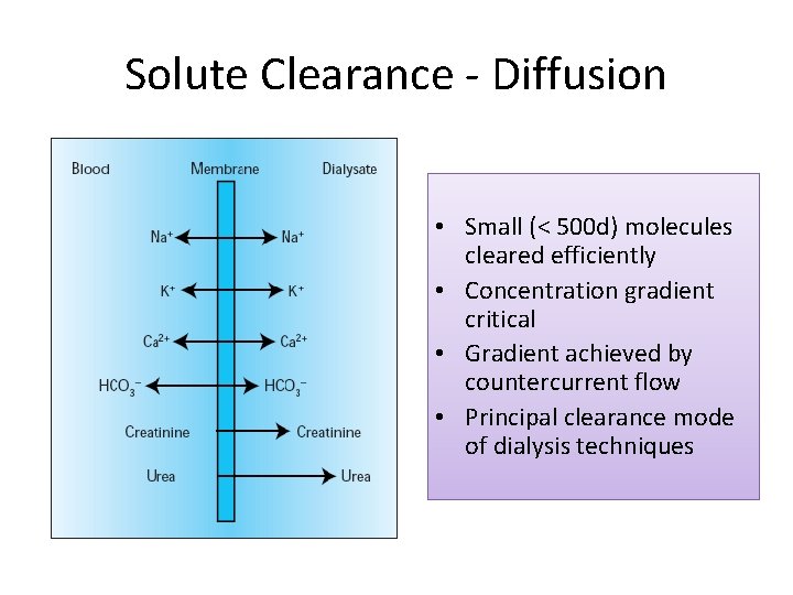 Solute Clearance - Diffusion • Small (< 500 d) molecules cleared efficiently • Concentration