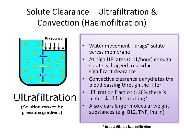 Solute Clearance – Ultrafiltration & Convection (Haemofiltration) • Water movement “drags” solute across membrane