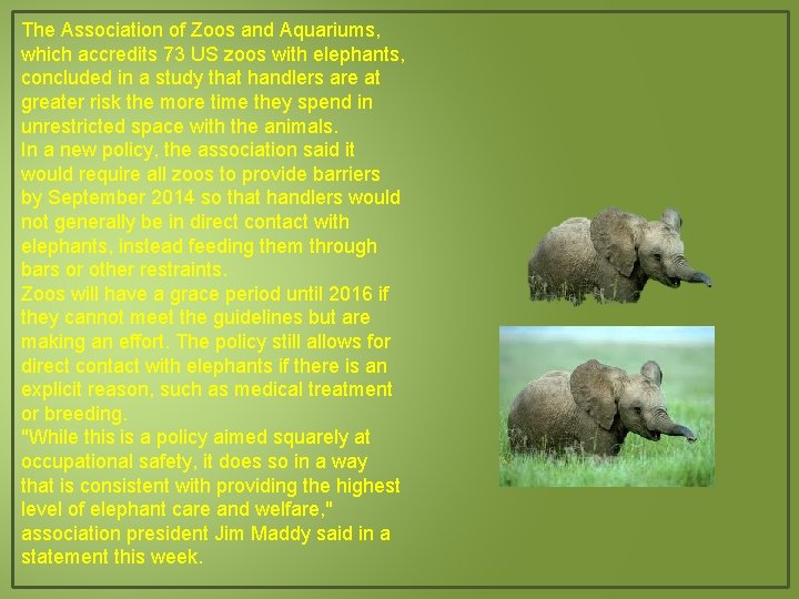 The Association of Zoos and Aquariums, which accredits 73 US zoos with elephants, concluded
