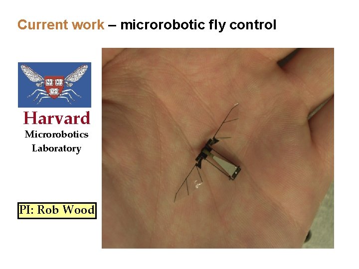 Current work – microrobotic fly control Harvard Microrobotics Laboratory PI: Rob Wood Current work – microrobotic fly control Harvard Microrobotics Laboratory PI: Rob Wood