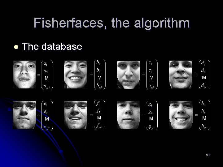 Fisherfaces, the algorithm l The database 30 