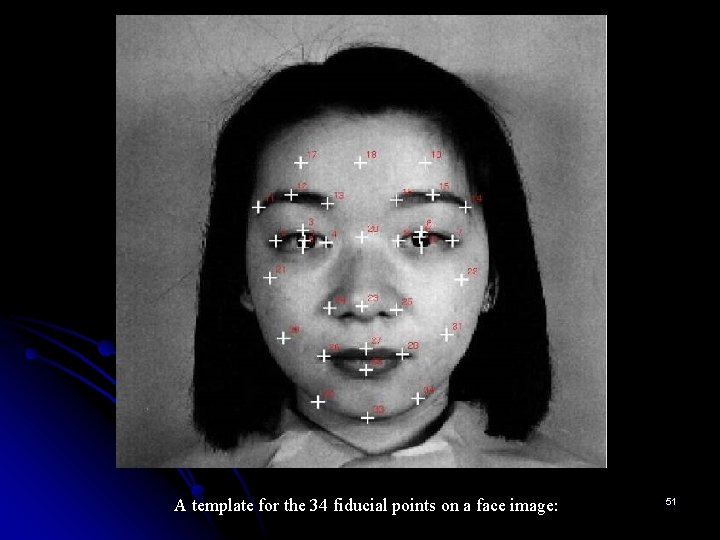 A template for the 34 fiducial points on a face image: 51 