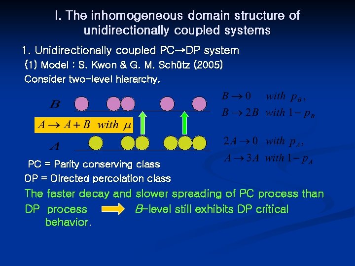 I. The inhomogeneous domain structure of unidirectionally coupled systems 1. Unidirectionally coupled PC→DP system