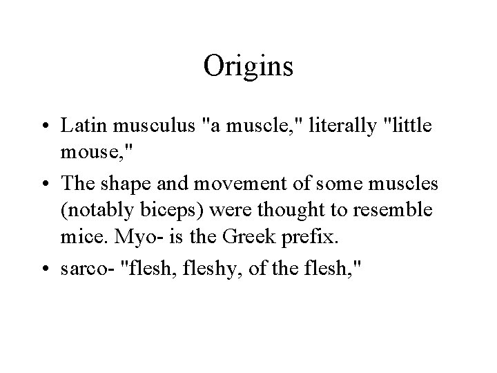 Origins • Latin musculus "a muscle, " literally "little mouse, " • The shape