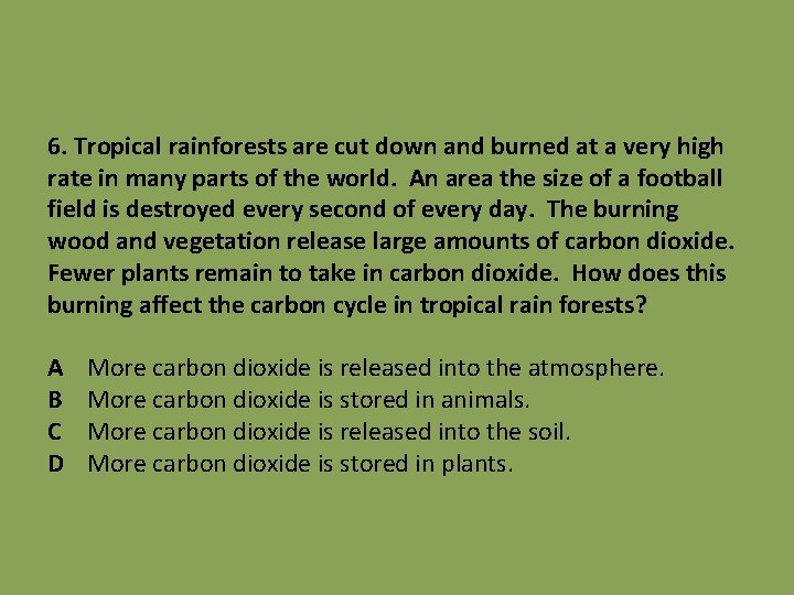 6. Tropical rainforests are cut down and burned at a very high rate in