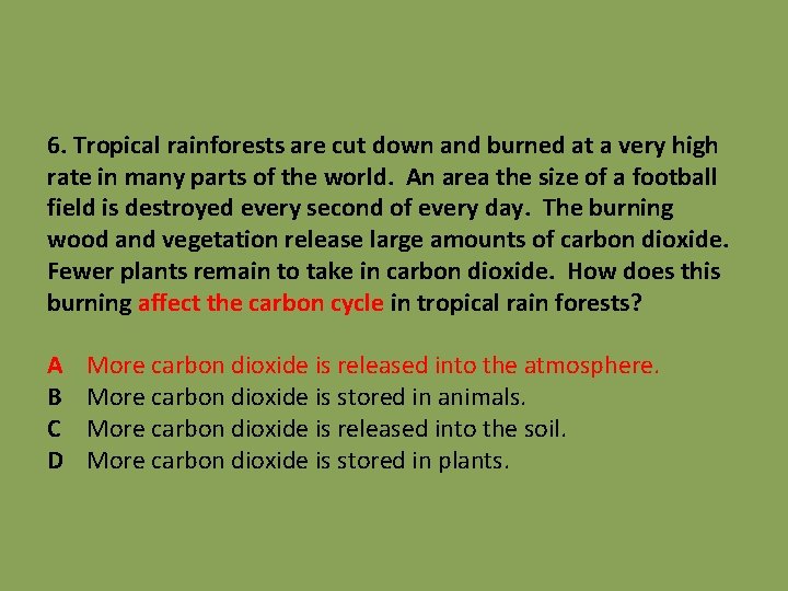 6. Tropical rainforests are cut down and burned at a very high rate in