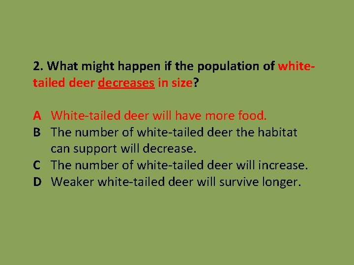 2. What might happen if the population of whitetailed deer decreases in size? A
