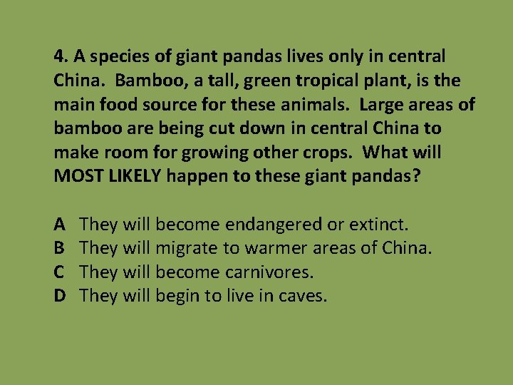 4. A species of giant pandas lives only in central China. Bamboo, a tall,