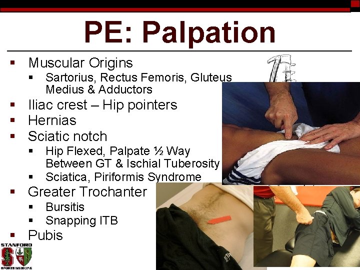 PE: Palpation § Muscular Origins § Sartorius, Rectus Femoris, Gluteus Medius & Adductors §
