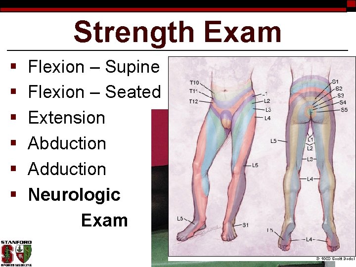 Strength Exam § § § Flexion – Supine Flexion – Seated Extension Abduction Adduction