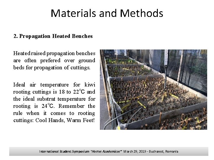 Materials and Methods 2. Propagation Heated Benches Heated raised propagation benches are often prefered