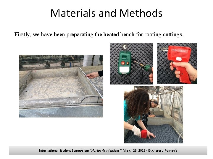 Materials and Methods Firstly, we have been preparating the heated bench for rooting cuttings.