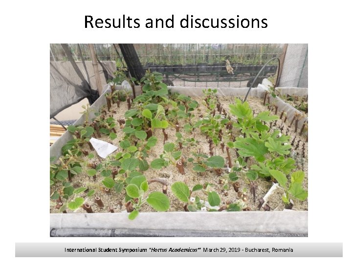 Results and discussions International Student Symposium "Hortus Academicus“ March 29, 2019 - Bucharest, Romania