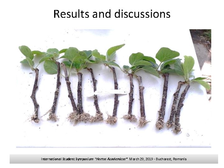 Results and discussions International Student Symposium "Hortus Academicus“ March 29, 2019 - Bucharest, Romania