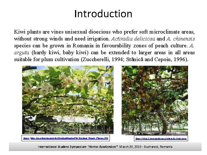 Introduction Kiwi plants are vines unisexual dioecious who prefer soft microclimate areas, without strong