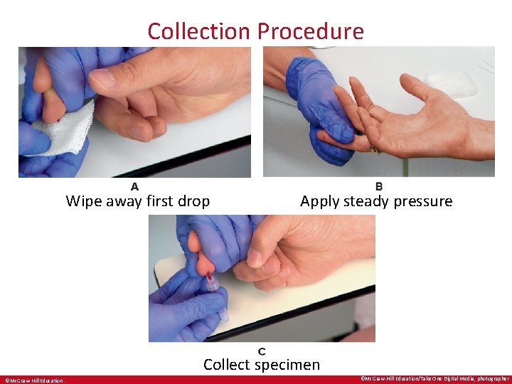 Collection Procedure Wipe away first drop Apply steady pressure Collect specimen ©Mc. Graw-Hill Education/Take