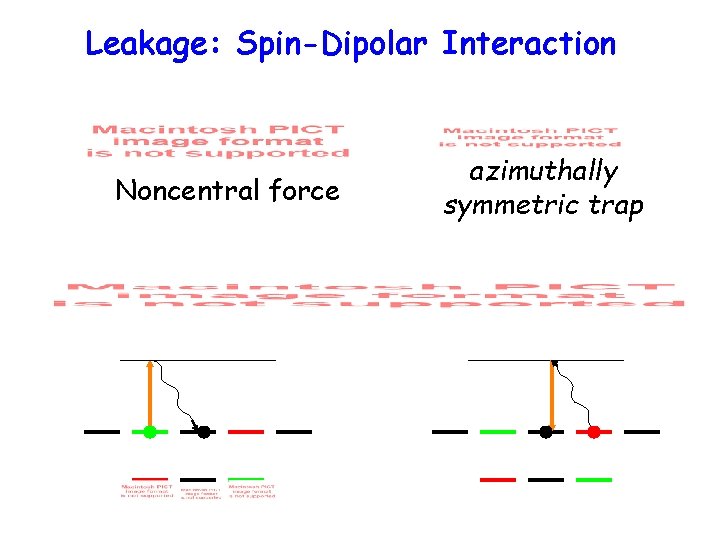 Leakage: Spin-Dipolar Interaction Noncentral force azimuthally symmetric trap 